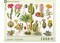 New York Puzzle Company Cacti ~ Cactus 1000 Piece Piece Jigsaw Puzzle